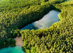 盖拉湖美丽绿色水域的鸟瞰图。风景秀丽的翡翠湖被松树林包围的鸟瞰图.