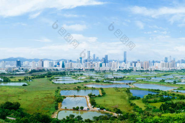 香港与中国深圳天际线之间鱼塘的乡村绿地全景
