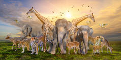 一大批非洲游牧民族的动物。野生动物保护概念