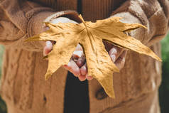 女性拿着一个大秋叶。你好十月。金秋季节.