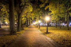 秋天的夜晚公园，黄叶飘落.