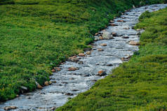 青山成河。 翠绿的草地上的急流