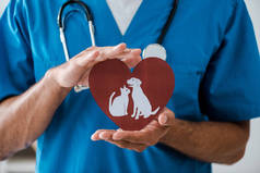 兽医的部分图像，用狗和猫的符号展示剪纸的心脏，全景镜头