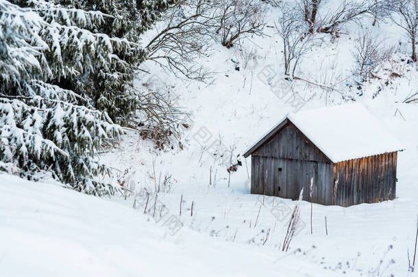树旁雪山中的老旧木屋
