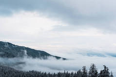 雪山美景，松林，白云飞扬