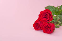 粉色背景上美丽的一束玫瑰。 情人节的概念，母亲节，3月8日.