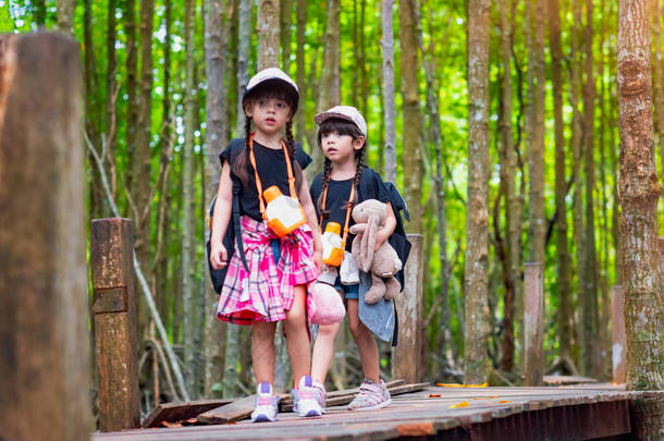 儿童步行走进森林丛林中的木桥，参加野外旅行，补充大自然的<strong>生命教育</strong>