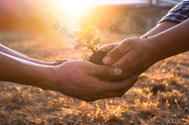 年轻人携起手来，在肥沃的土地上<strong>植树</strong>。保护自然的概念