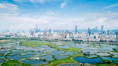 深圳市美丽的天际线风景