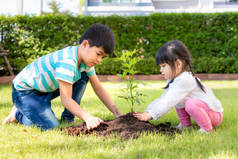 夏日，亚洲兄弟姐妹一起在黑土上种植幼树，在自家花园拯救世界。植树。幼儿及户外休憩的概念