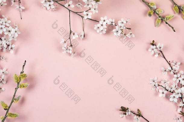 花分枝，白色的枝条，<strong>粉色背景</strong>的猫柳树。春天,东方季节<strong>背景</strong>,横幅.春天花卉,扁平的摆设.