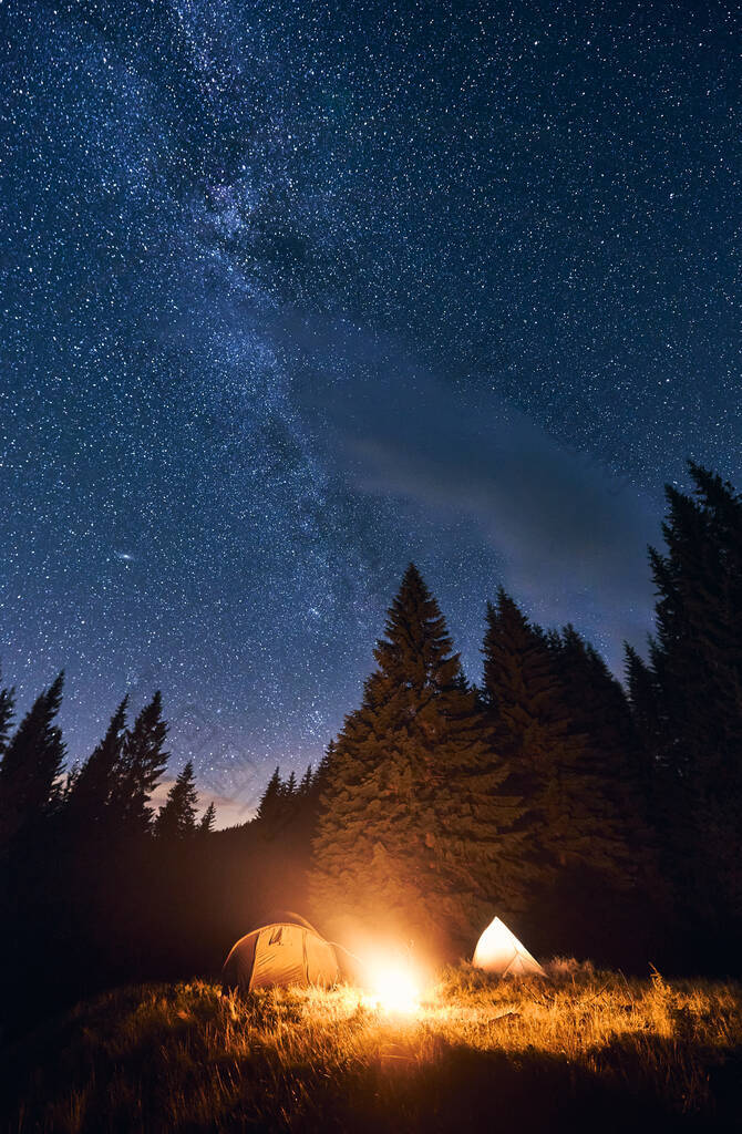 在有星星的夜晚在森林中露营图片-包图网企业站