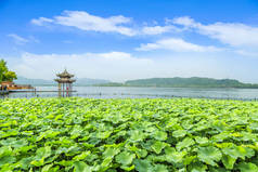 杭州西湖秀丽的风景