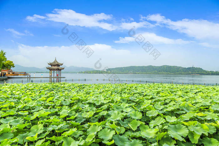 杭州西湖秀丽的风景