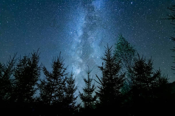 夜晚，在<strong>星空下</strong>的阴影中，密林，中间是银河