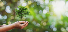 在义工家庭手上植树，促进生态友好型企业社会责任运动理念