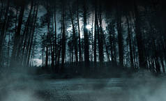 黑暗的森林。夜晚在森林里森林和月光下的自然景观。森林、自然、雾、烟、烟的夜景.
