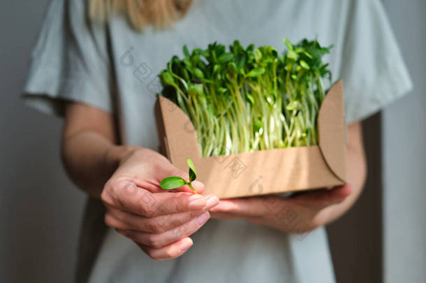 女孩拿着一个装有微绿色的纸盒.生的芽。健康的饮食，素食生活方式。新鲜的绿色配料,美味的叶子.天然有机生物食品。人工采摘的生长种子