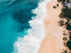 阳光明媚的海滩，金色的沙滩，蓝色的海洋，绿色的棕榈树，美丽的风景从无人机.