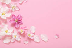 粉色苹果花，粉红的背景