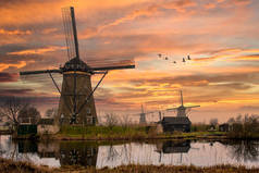 日落时分，一群鹅在荷兰的风车上飞舞