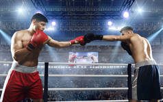 两个拳击手在打职业拳击赛.