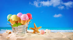 海滩上有海景的海螺和沙中的海螺