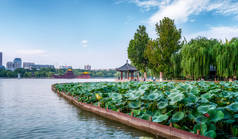 济南市大明湖公园古建筑景观