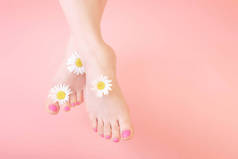 漂亮整洁的女性腿与洁白柔软的皮肤和菊花装饰的合影。粉色背景。天然化妆品护肤的概念。版权空间