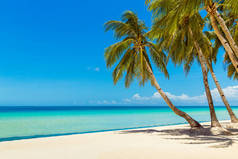 菲律宾博拉凯岛上美丽的热带海滩景观。椰子树、海、帆船和白沙。自然景观。暑假的概念.