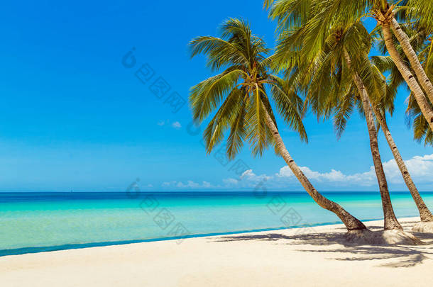 菲律宾博拉凯岛上美丽的热带海滩<strong>景观</strong>。椰子树、海、帆船和白沙。自然<strong>景观</strong>。暑<strong>假</strong>的概念.