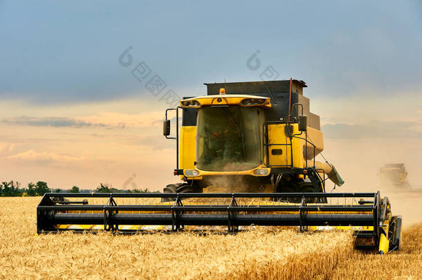 在麦田里干活的<strong>收割</strong>机与多云的天空相结合.<strong>收割</strong>机司机在农田里<strong>收割</strong>庄稼.农业主题，收获季节.