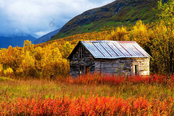在多云的秋日，在挪威塔莫克谷地清理季节性的<strong>夏季</strong>小屋