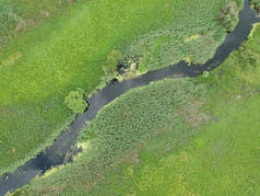 从空中俯瞰青草地上的小河.无人机照片.