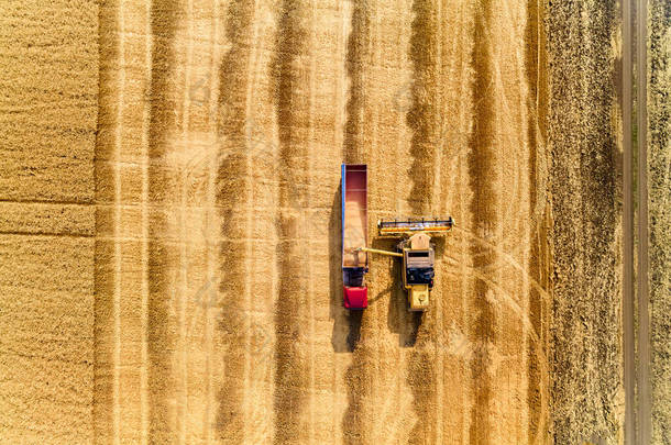 空中无人侦察机从上方看：联合收割机的谷物<strong>超载</strong>到田里的谷物卡车上。收割机将小麦倒入箱体.工作的农民。农业收获季节.