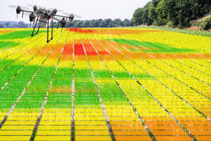 农业耕作技术与数字作物监测