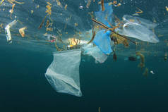 海洋中塑料垃圾污染.环境问题概念
