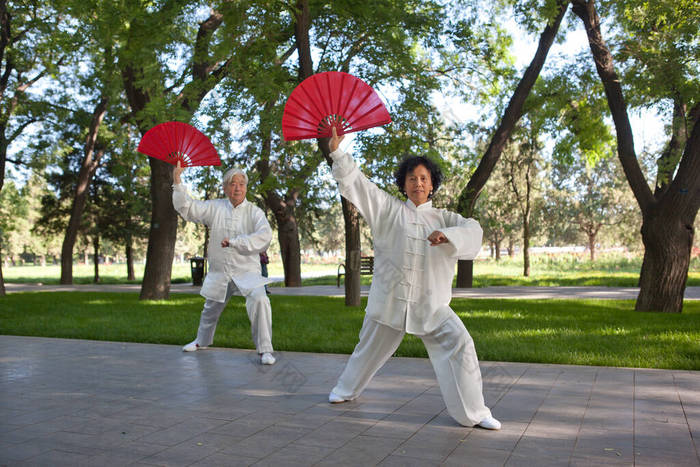 两个老人在公园玩太极拳