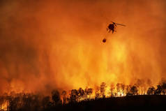 消防直升机运送水桶以扑灭森林大火