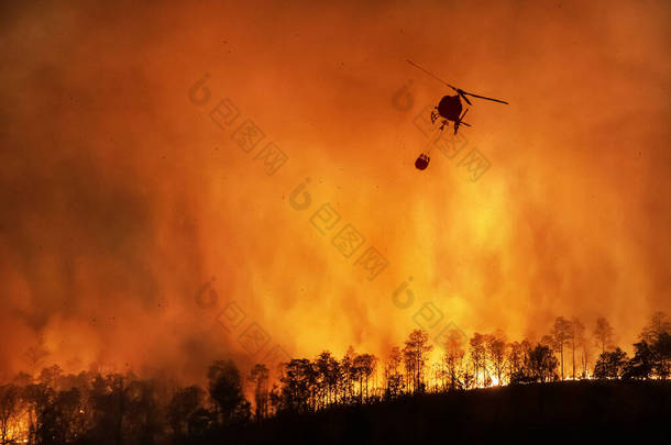 <strong>消防直升机</strong>运送水桶以扑灭森林大火