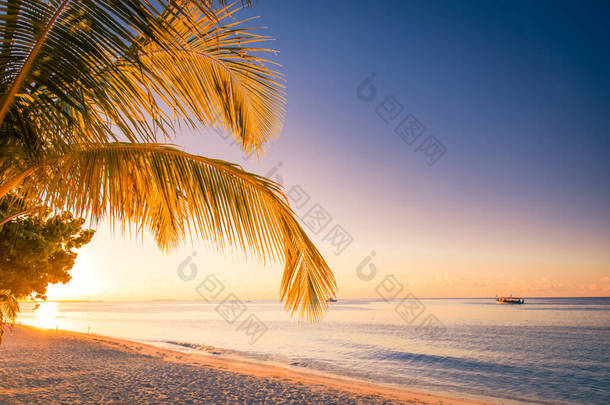 在热带海滩上落日.<strong>宁静宁静</strong>的日出热带海滩和海景,平静悠闲的海滩风景.有落日的棕榈叶