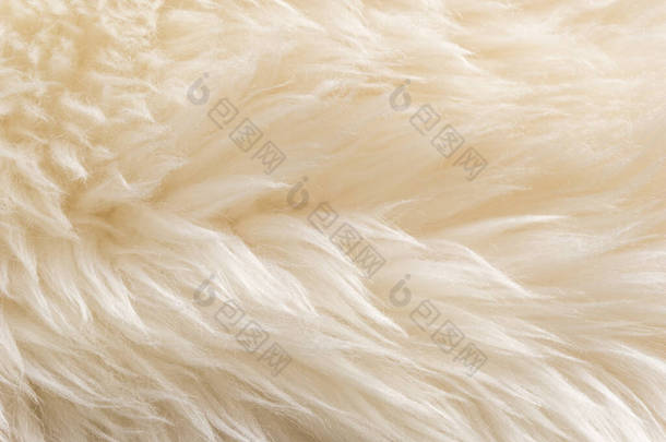 白色绒毛羊毛绒质感，米色天然羊毛背景，毛皮质感特写，供设计师参考