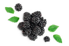 黑莓被隔离在白色的背景特写中。收割路径和全场深度。顶部视图。平躺在床上