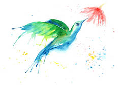 鸟的水彩画-蜂鸟