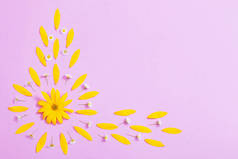 紫色纸背景上的黄色花朵