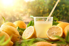 新鲜榨果汁在一个木制桌子上满是柠檬，背景和阳光都是柠檬树。前面的景色1.横向构成.