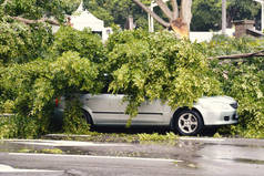 由于一场飓风，满载着树木的汽车倒了