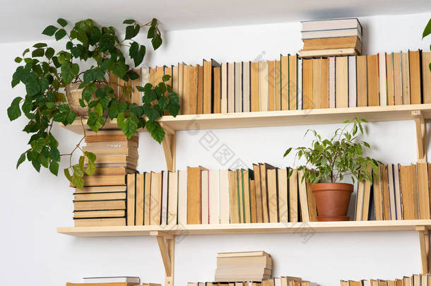 轻便的木制<strong>书架</strong>，<strong>书架</strong>上有精装书，白色内饰，室内花卉，家庭图书馆，生物设计和植物