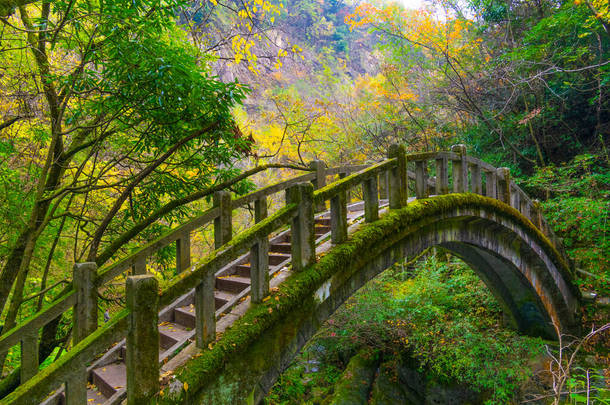 湖北省神农架木玉向西元的秋景