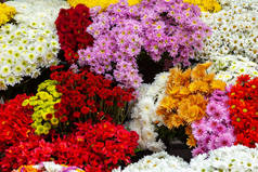 户外市场盛开的五彩缤纷的花朵.典型的花店气氛